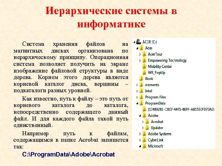 Иерархические системы в информатике Система хранения файлов на магнитных дисках организована по иерархическому принципу.