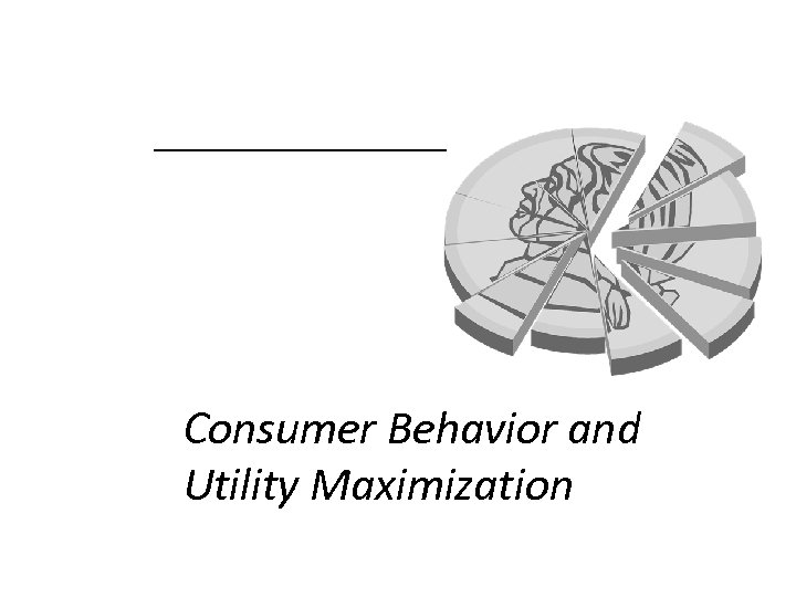 Consumer Behavior and Utility Maximization 