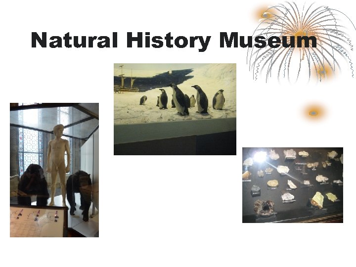 Natural History Museum 