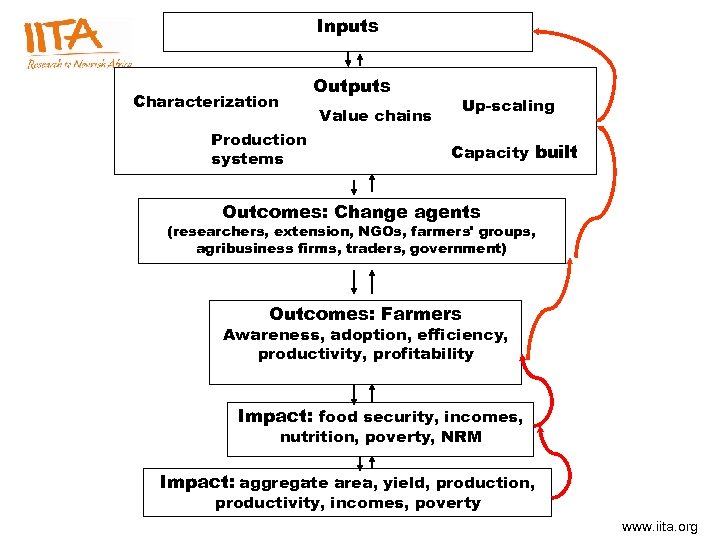 Inputs Outputs Characterization Value chains Production systems Up-scaling Capacity built Outcomes: Change agents (researchers,