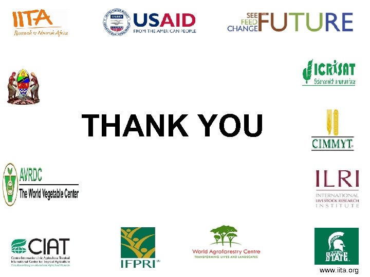 THANK YOU www. iita. org 