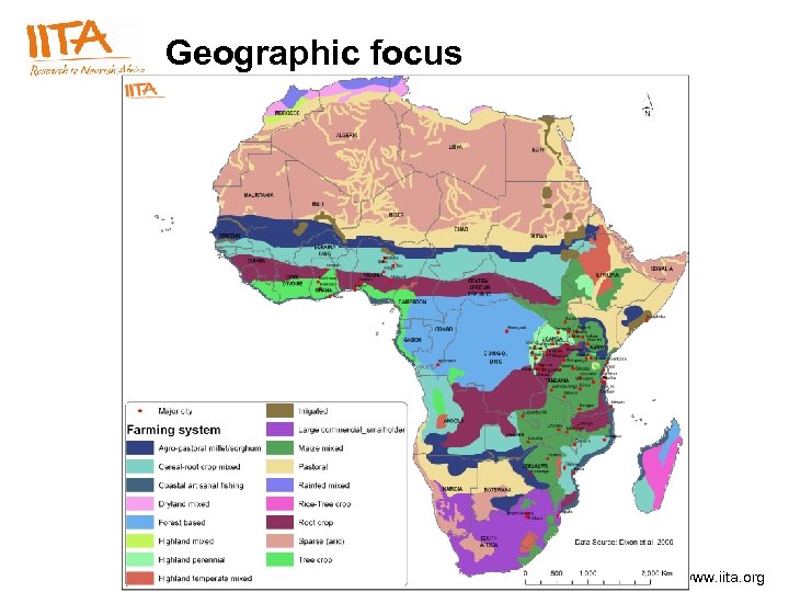 Geographic focus www. iita. org 