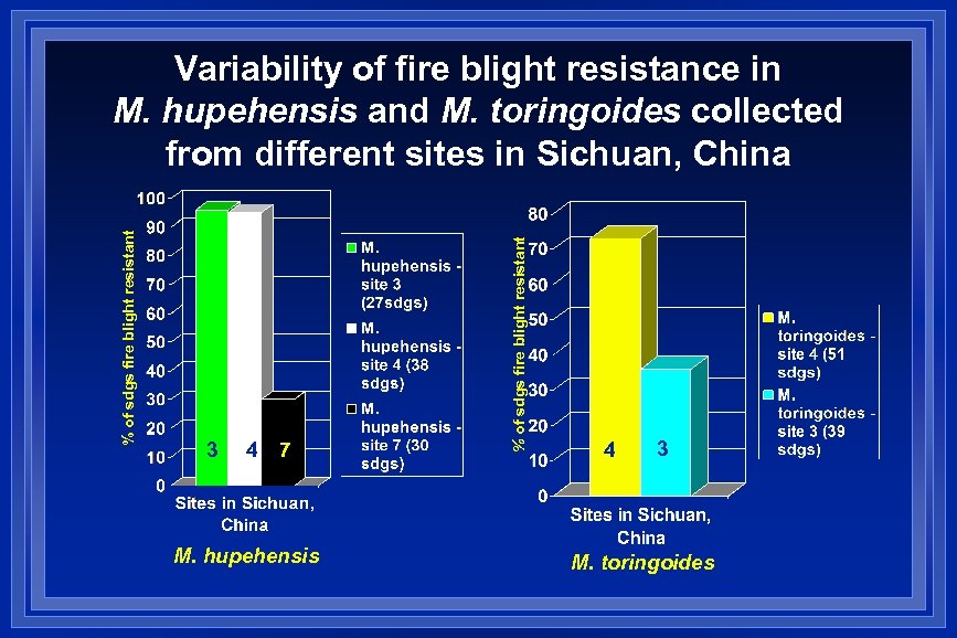 3 4 7 M. hupehensis % of sdgs fire blight resistant Variability of fire
