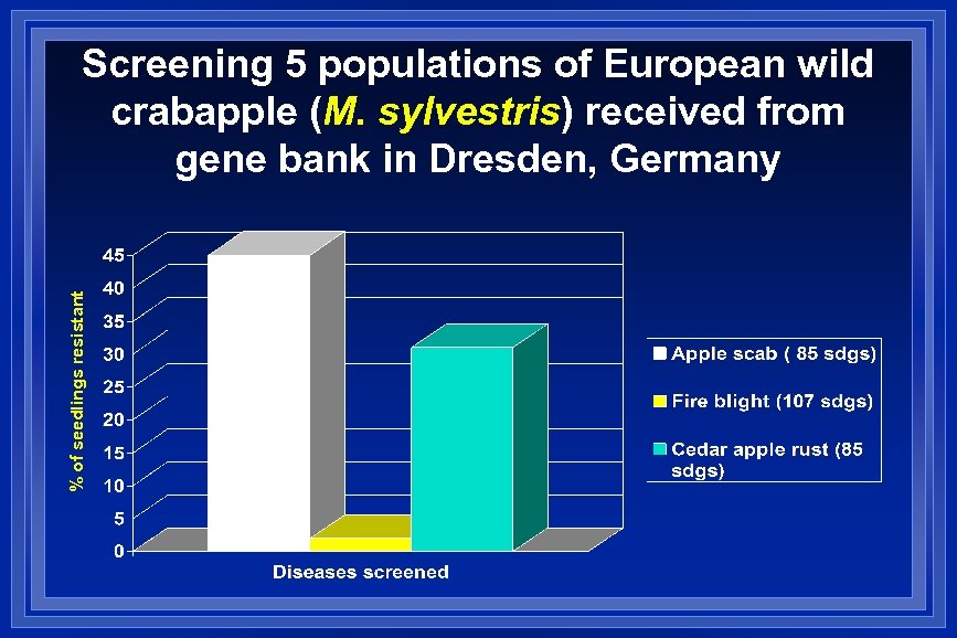 % of seedlings resistant Screening 5 populations of European wild crabapple (M. sylvestris) received