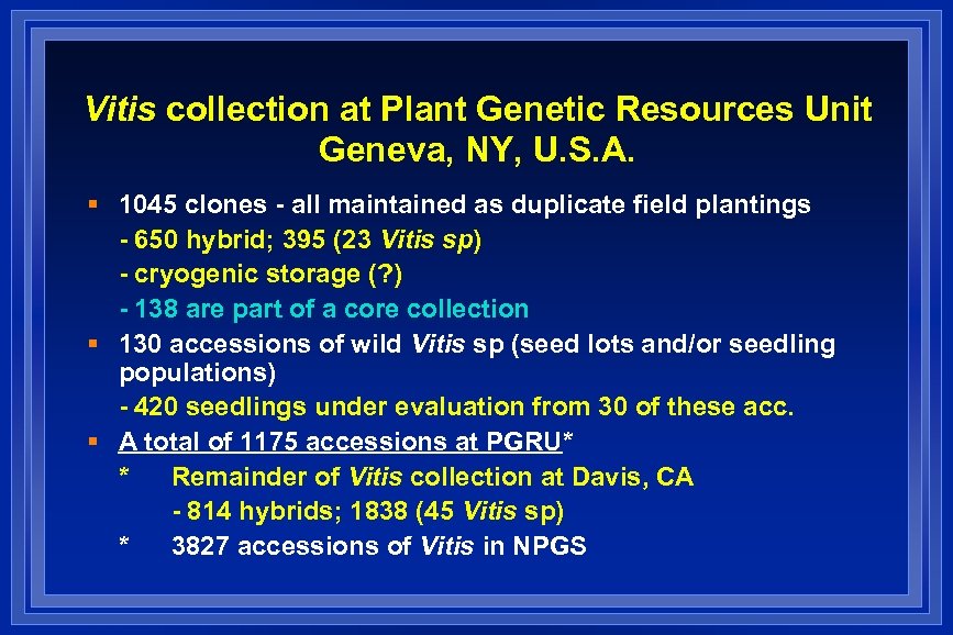 Vitis collection at Plant Genetic Resources Unit Geneva, NY, U. S. A. § 1045