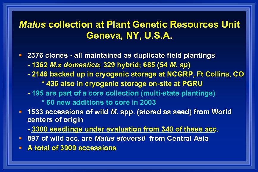 Malus collection at Plant Genetic Resources Unit Geneva, NY, U. S. A. § 2376