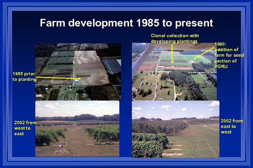 Farm development 1985 to present Clonal collection with developing plantings 1990: addition of farm