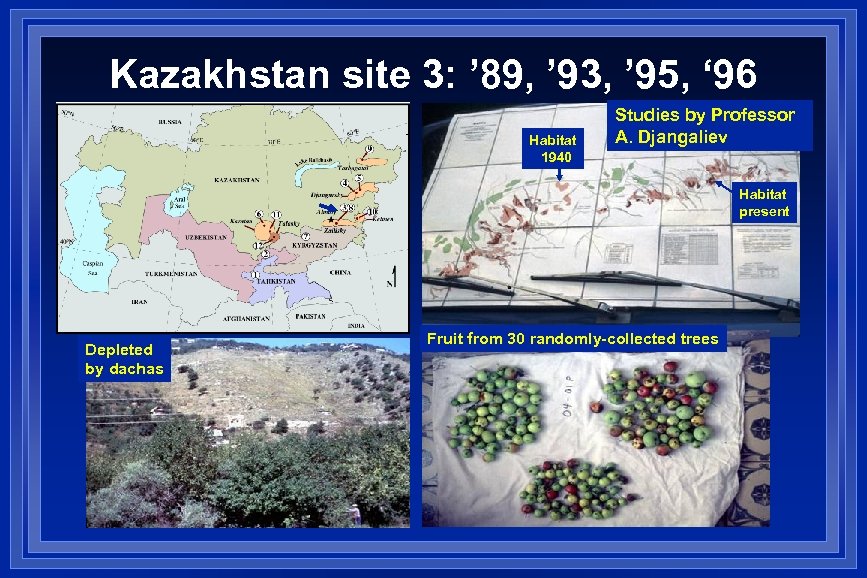 Kazakhstan site 3: ’ 89, ’ 93, ’ 95, ‘ 96 Habitat 1940 Studies