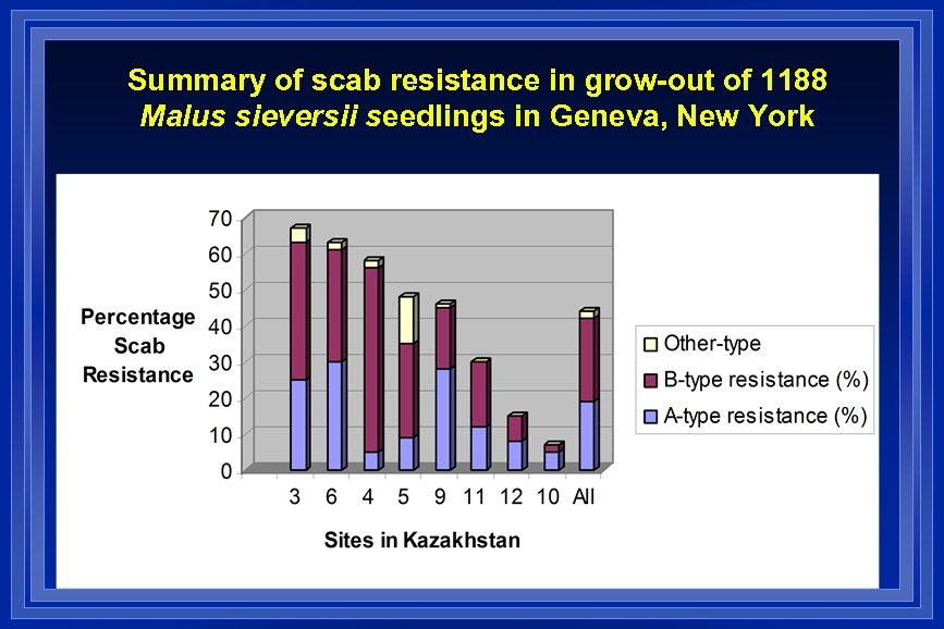 Summary of scab resistance in grow-out of 1188 Malus sieversii seedlings in Geneva, New