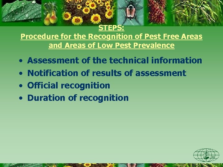 STEPS: Procedure for the Recognition of Pest Free Areas and Areas of Low Pest