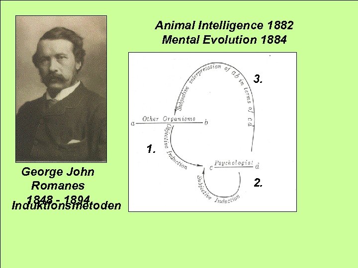 Animal Intelligence 1882 Mental Evolution 1884 3. 1. George John Romanes 1848 - 1894