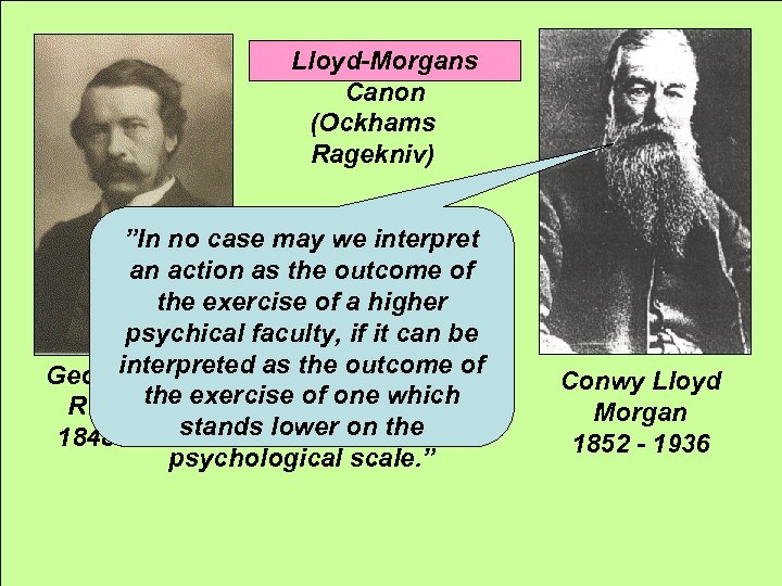 Lloyd-Morgans Canon (Ockhams Ragekniv) ”In no case may we interpret an action as the