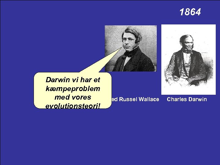 1864 Darwin vi har et kæmpeproblem med vores Alfred Russel Wallace evolutionsteori! Charles Darwin