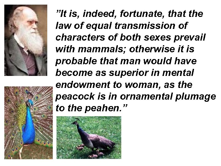 ”It is, indeed, fortunate, that the law of equal transmission of characters of both