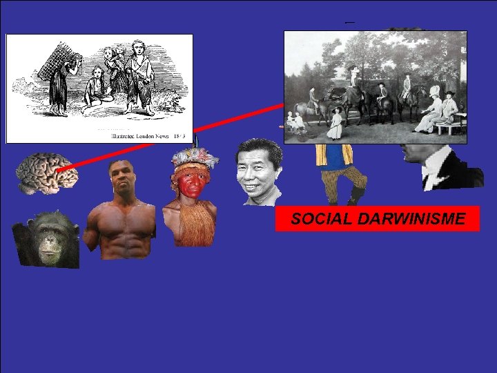 SOCIAL DARWINISME 