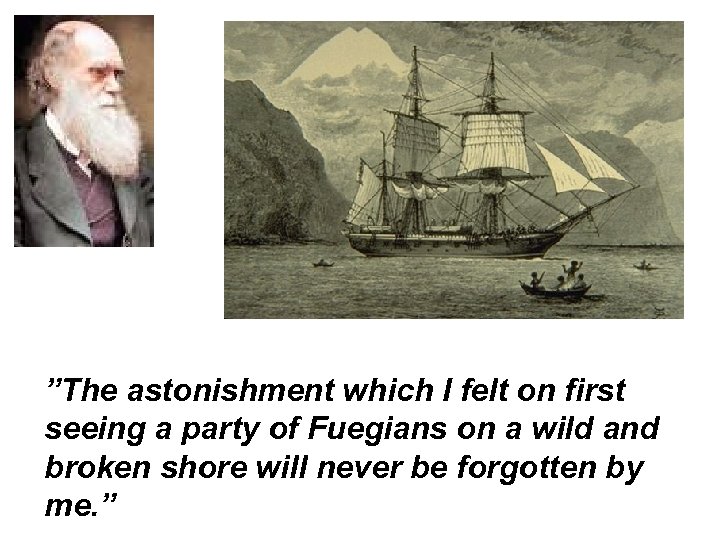 ”The astonishment which I felt on first seeing a party of Fuegians on a