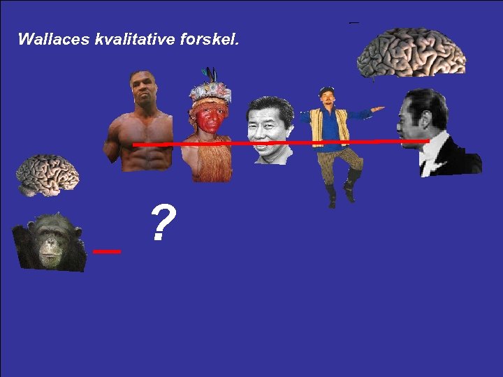 Wallaces kvalitative forskel. ? 