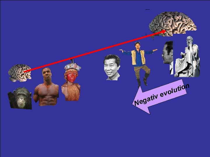 n lutio vo Ne tiv e ga 