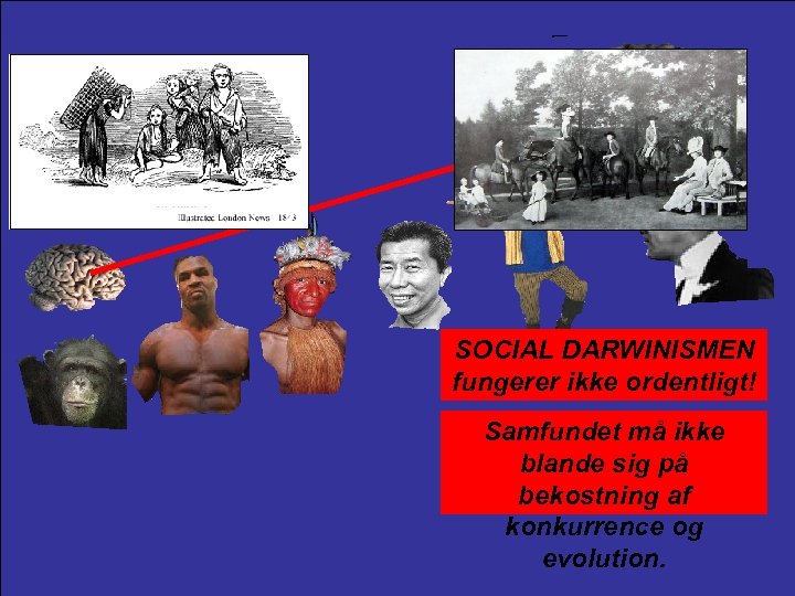 SOCIAL DARWINISMEN fungerer ikke ordentligt! Samfundet må ikke blande sig på bekostning af konkurrence