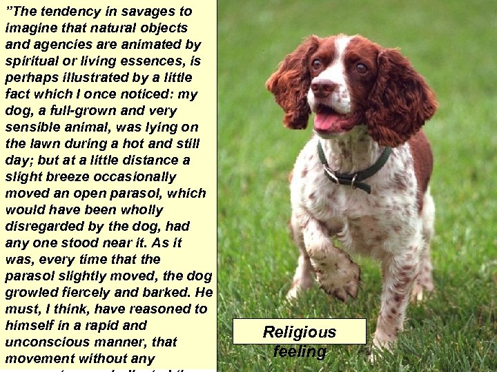 ”The tendency in savages to imagine that natural objects and agencies are animated by