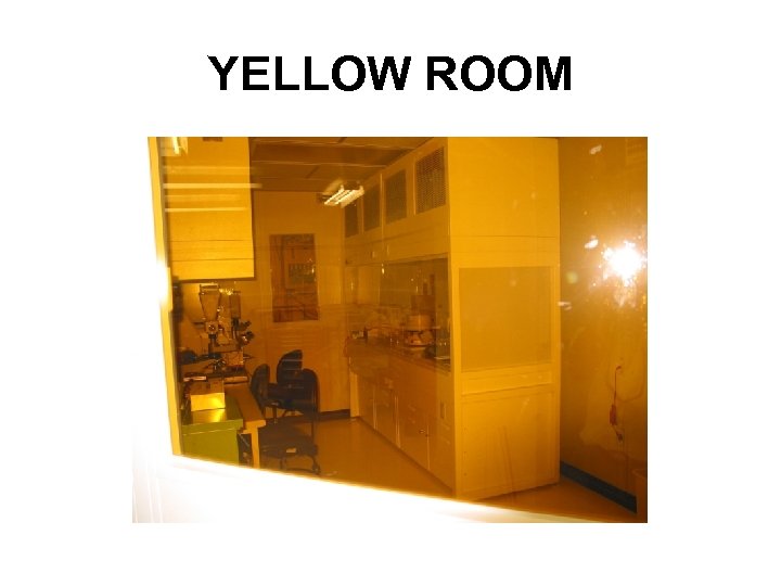 YELLOW ROOM 