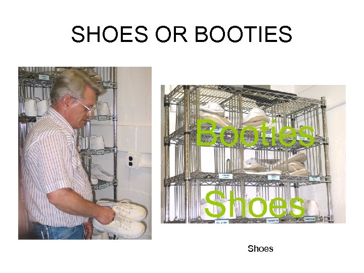 SHOES OR BOOTIES Booties Shoes 