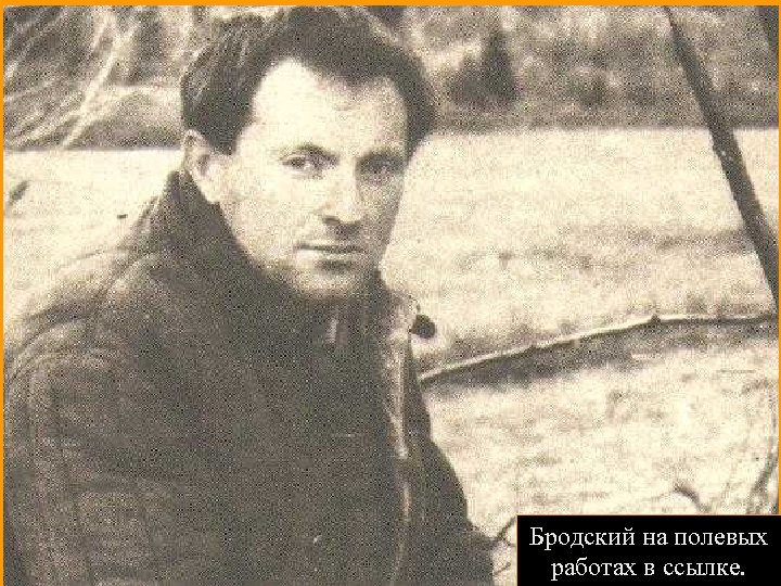 Бродский на полевых работах в ссылке. 