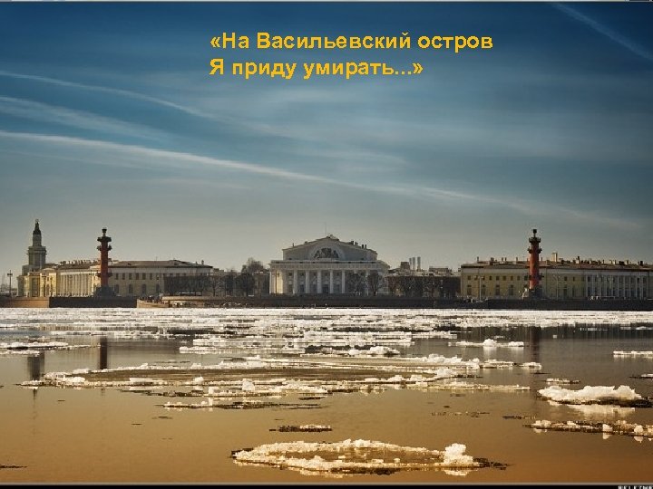  «На Васильевский остров Я приду умирать. . . » 