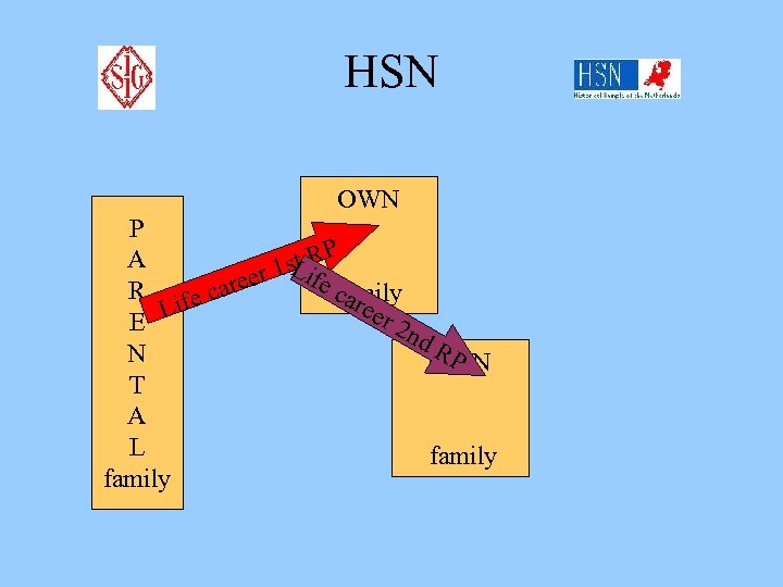 HSN OWN P P A stif L R 1 e eer ca R fe