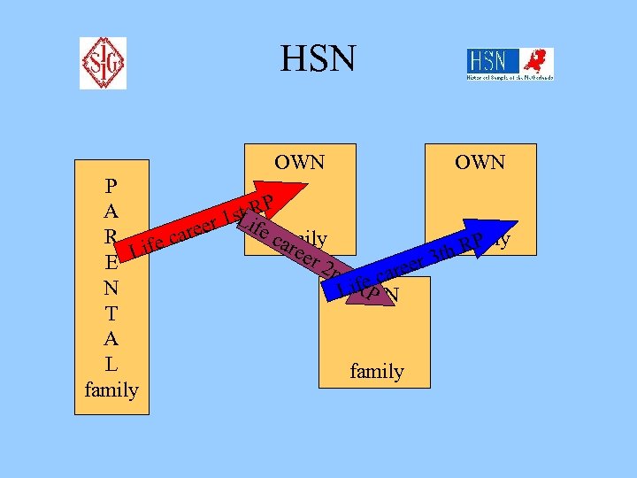 HSN OWN P P A stif L R 1 e eer ca R fe