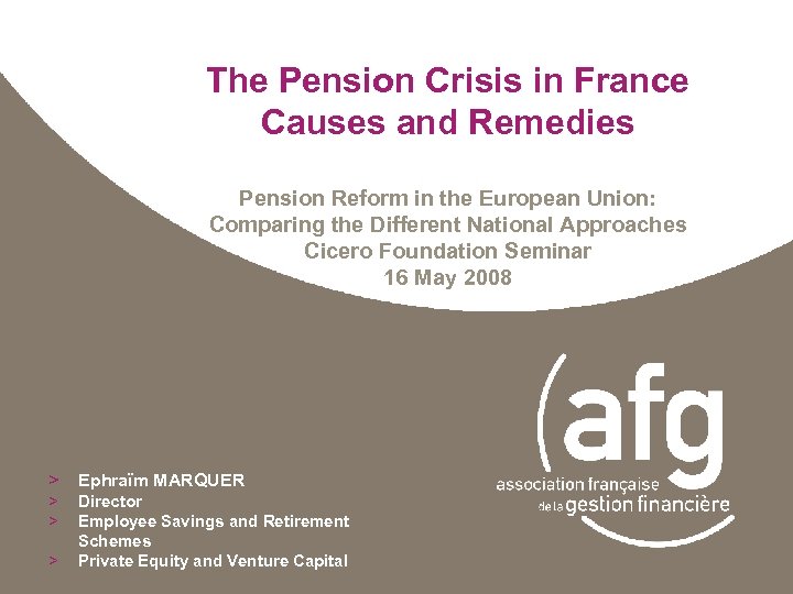 The Pension Crisis in France Causes and Remedies Pension Reform in the European Union: