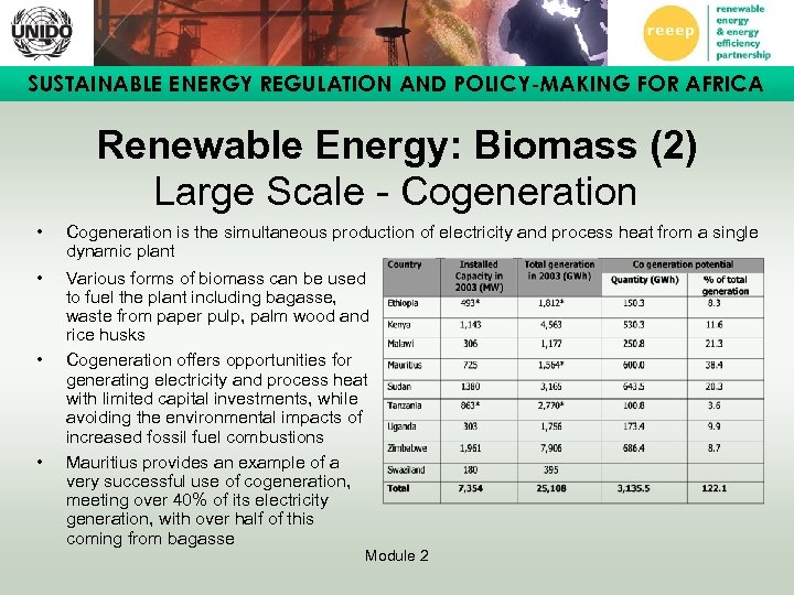 SUSTAINABLE ENERGY REGULATION AND POLICY-MAKING FOR AFRICA Renewable Energy: Biomass (2) Large Scale -