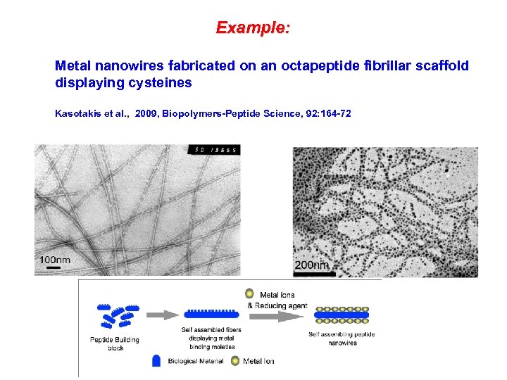 Example: Metal nanowires fabricated on an octapeptide fibrillar scaffold displaying cysteines Kasotakis et al.