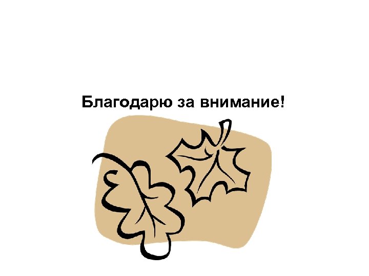 Благодарю за внимание! 