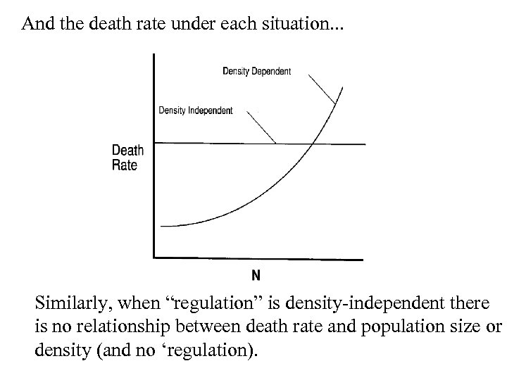 And the death rate under each situation. . . Similarly, when “regulation” is density-independent