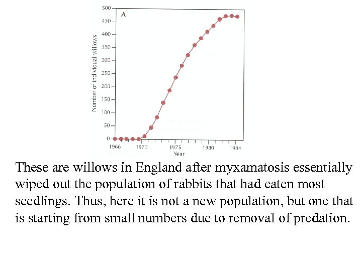 These are willows in England after myxamatosis essentially wiped out the population of rabbits