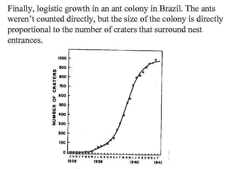 Finally, logistic growth in an ant colony in Brazil. The ants weren’t counted directly,