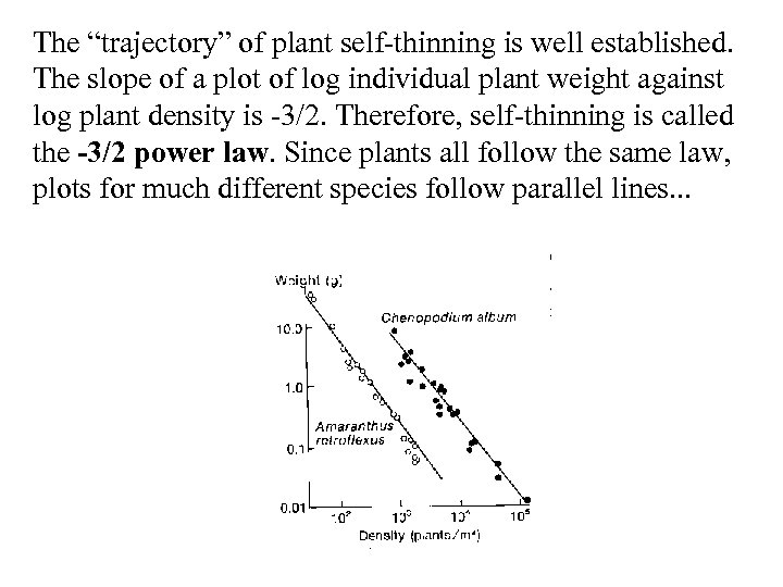 The “trajectory” of plant self-thinning is well established. The slope of a plot of