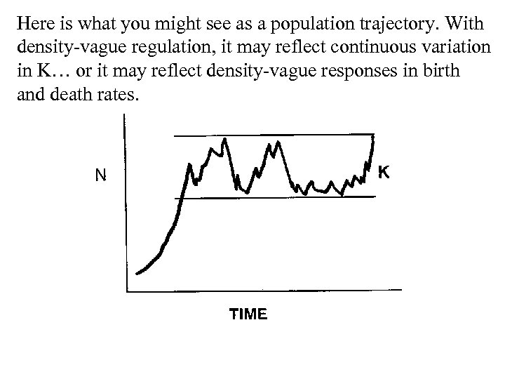 Here is what you might see as a population trajectory. With density-vague regulation, it