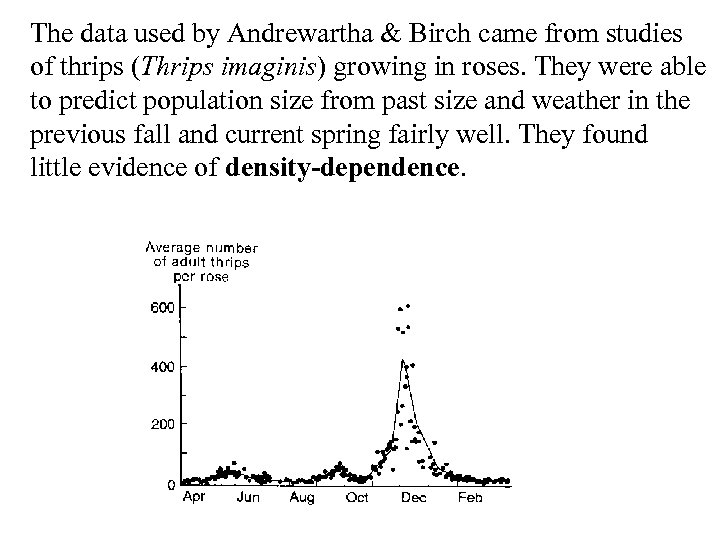 The data used by Andrewartha & Birch came from studies of thrips (Thrips imaginis)