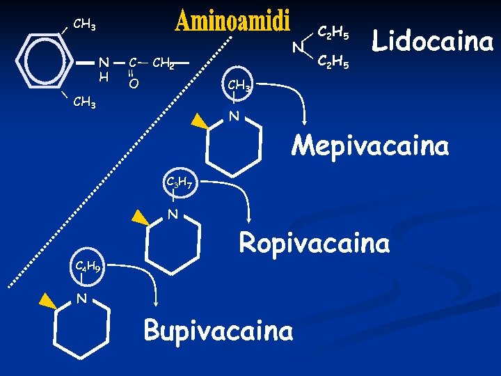 CH 3 N H CH 3 C N CH 2 O C 2 H