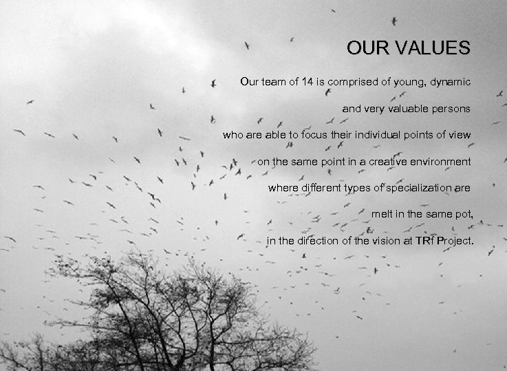 OUR VALUES Our team of 14 is comprised of young, dynamic and very valuable