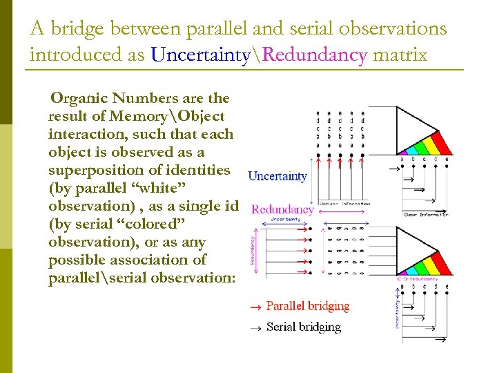 A bridge between parallel and serial observations introduced as UncertaintyRedundancy matrix Organic Numbers are