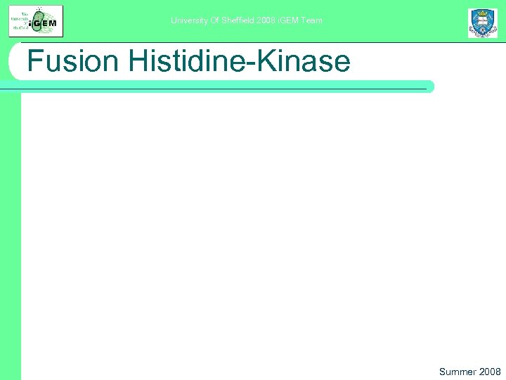 University Of Sheffield 2008 i. GEM Team Fusion Histidine-Kinase Summer 2008 