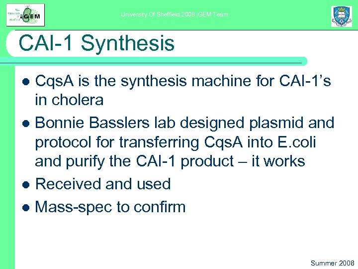 University Of Sheffield 2008 i. GEM Team CAI-1 Synthesis Cqs. A is the synthesis