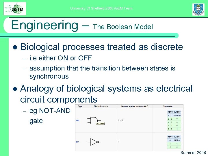 University Of Sheffield 2008 i. GEM Team Engineering – The Boolean Model l Biological