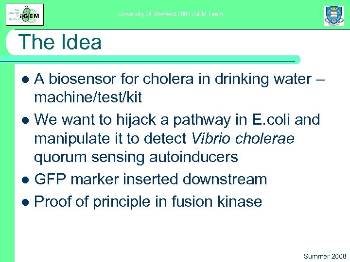 University Of Sheffield 2008 i. GEM Team The Idea A biosensor for cholera in