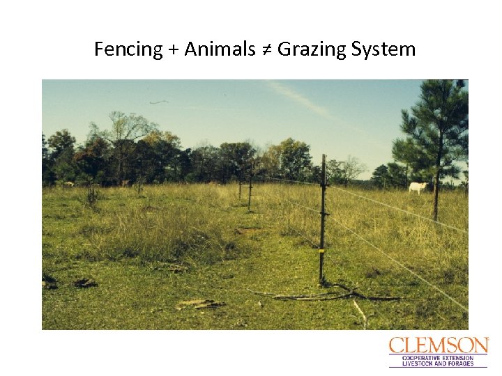 Fencing + Animals ≠ Grazing System 