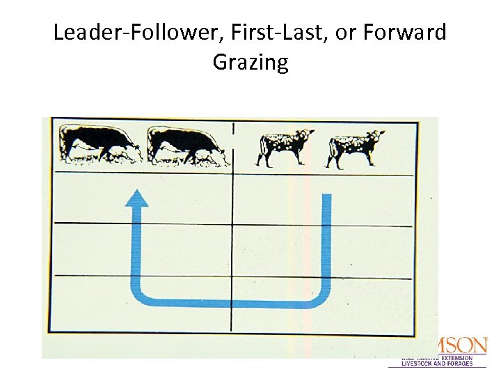 Leader-Follower, First-Last, or Forward Grazing 