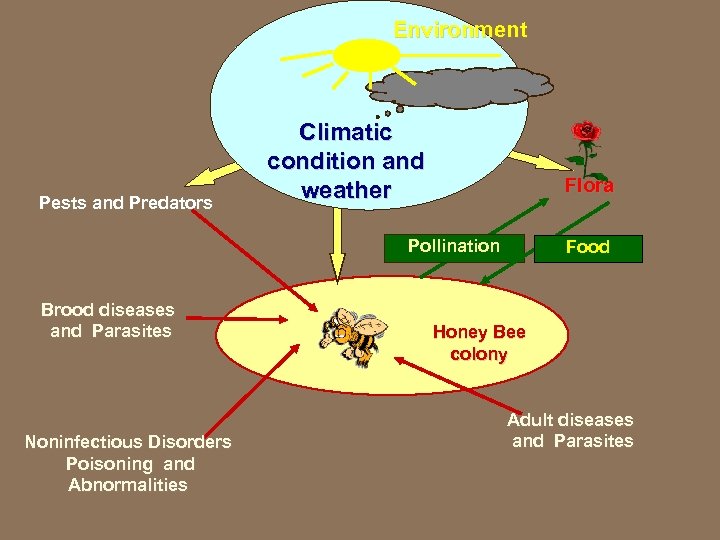 Environment Pests and Predators Climatic condition and weather Flora Pollination Brood diseases and Parasites